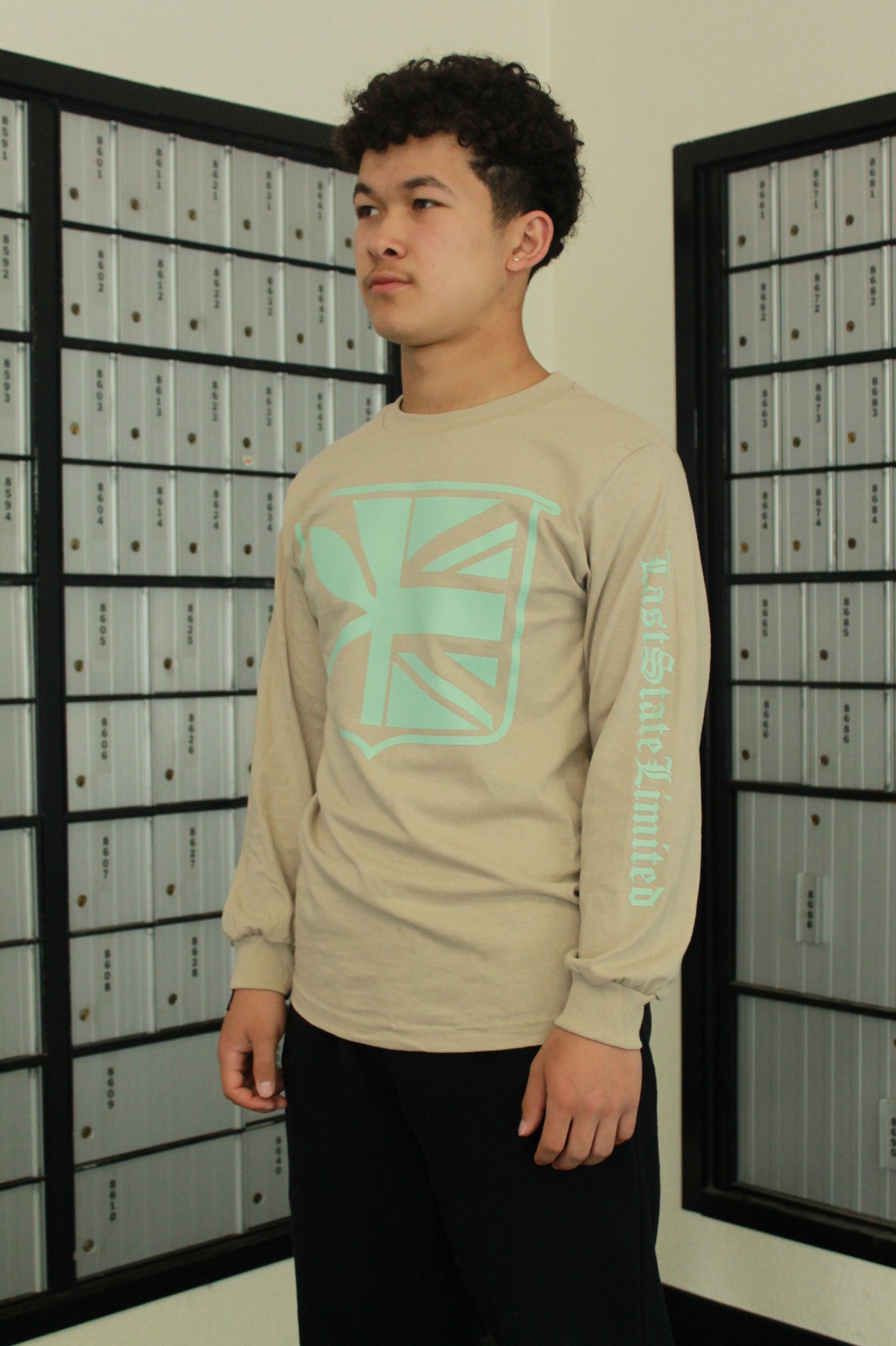 Last State Limited Long Sleeve - Sand